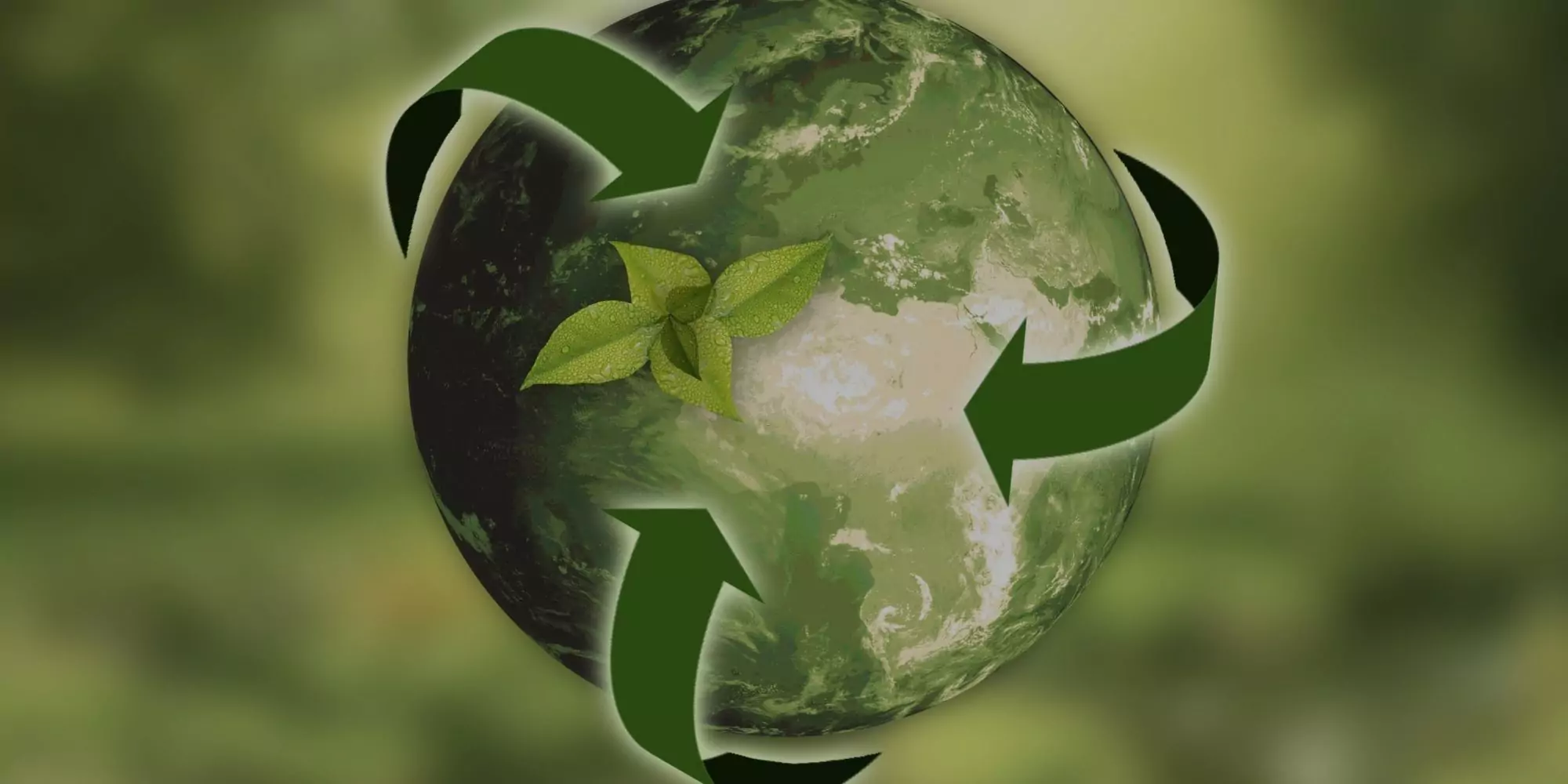 sustainabilty-blog-website-header